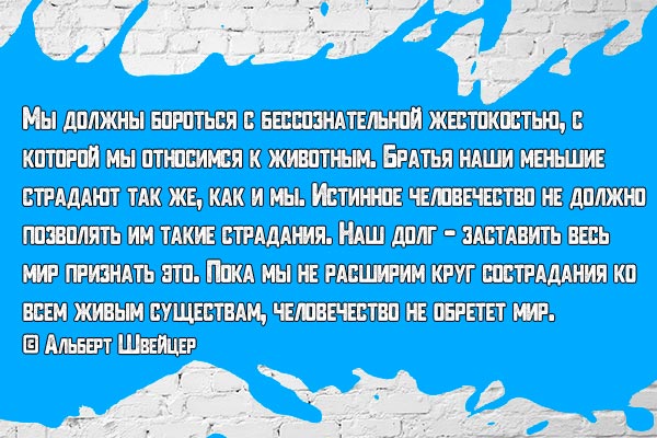 Бороться с жестокостью