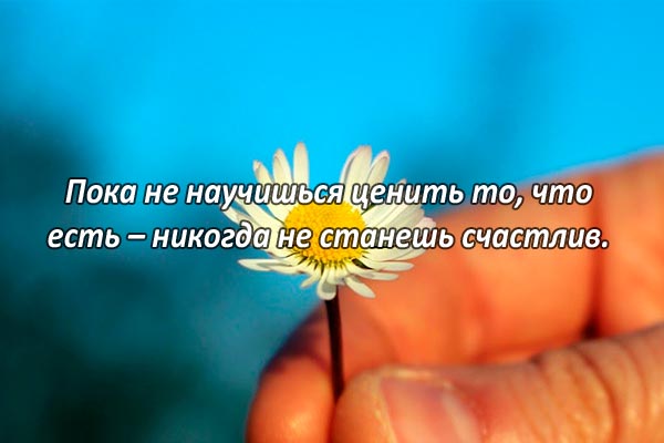 Цени то, что есть