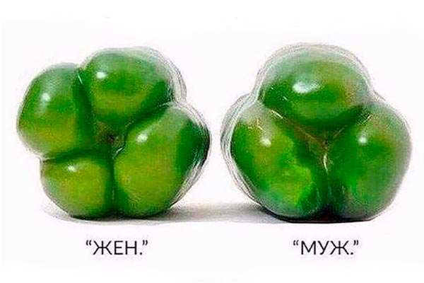 Факт о перцах