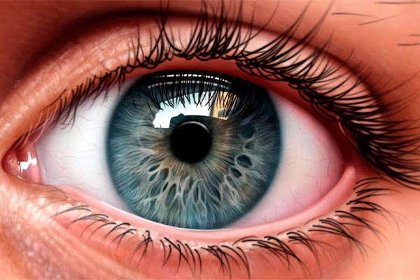 10 удивительных фактов о глазах