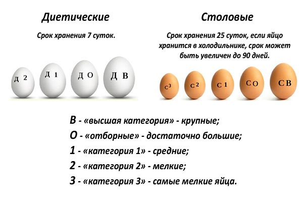 Выбираем яйца по свежести