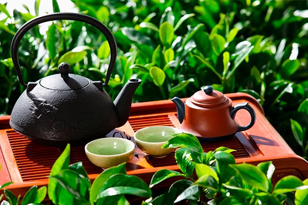 Исторические факты о китайской чайной культуре
