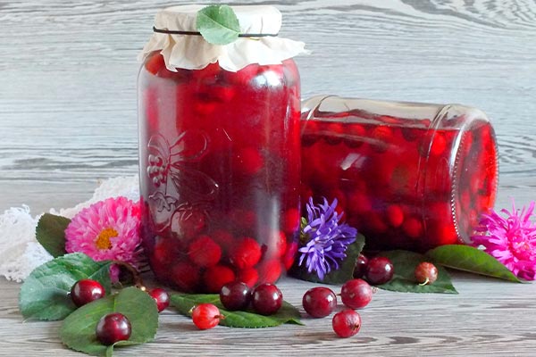 Компот из крыжовника, вишни и смородины