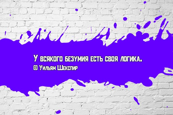 Логика у безумия