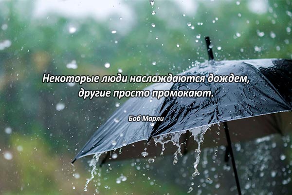 Наслаждение дождем