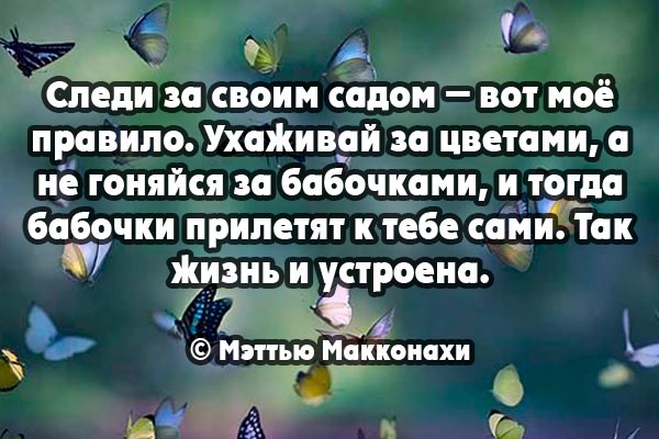 Следи за своим садом