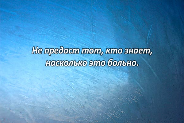 Не предавай