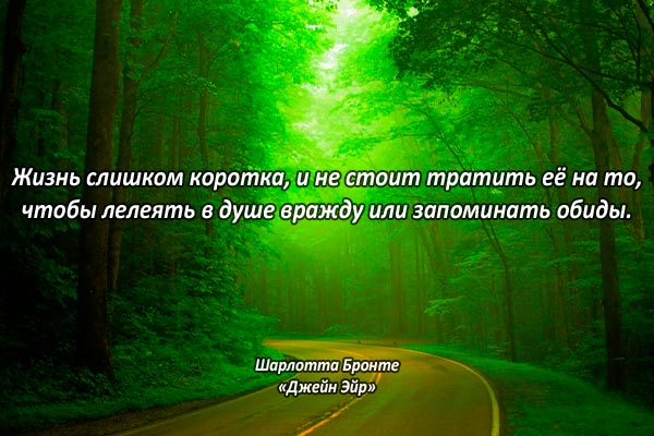 Обиды жизни
