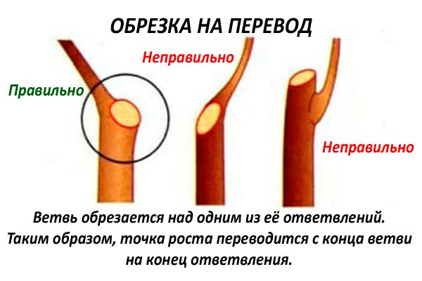Обрезка на перевод