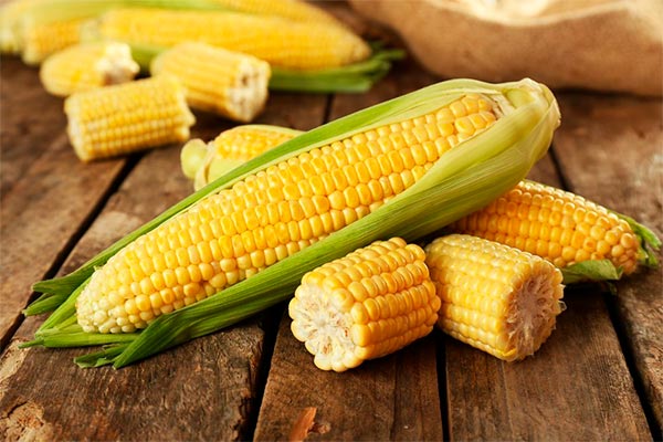 Полезные свойства кукурузы