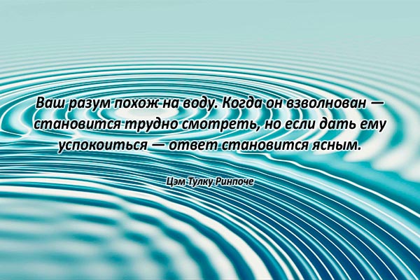 Разум воды