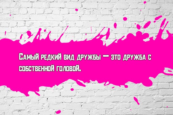 Редкая дружба