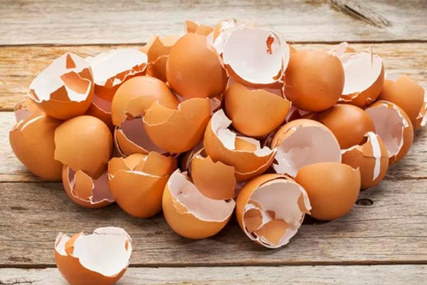 5 причин больше никогда не выбрасывать яичную скорлупу