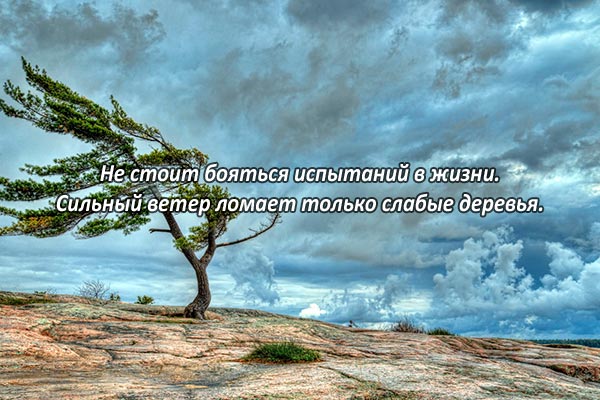 Ветер испытаний