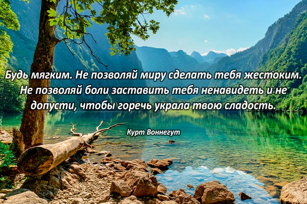 Слабость и мягкость