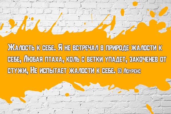 Жалость к себе